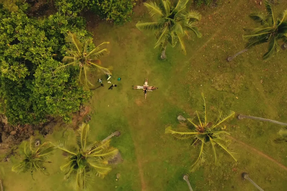 Aerial view looking down over palm trees near the coast at Liloy